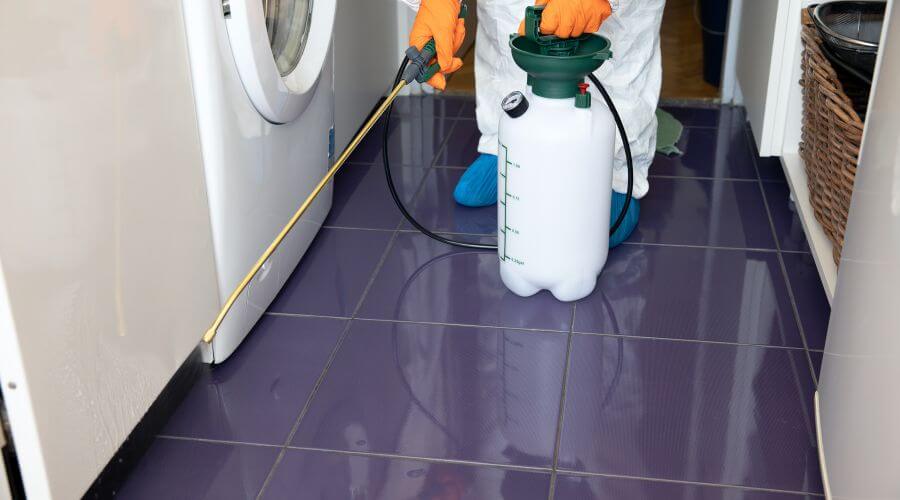 Why choose Duck Creek Mice Removal for mice removal in Duck Creek